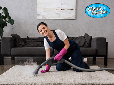 Clean Freaks
