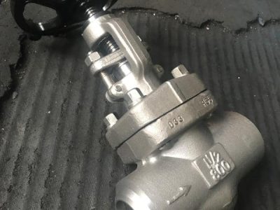Check Valve Supplier in India