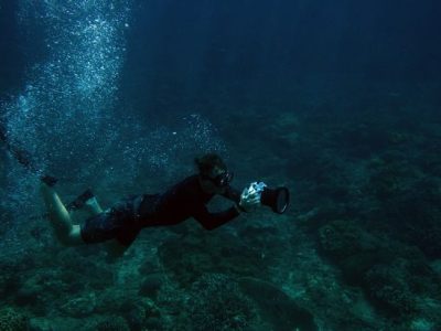 Diving In Malloca