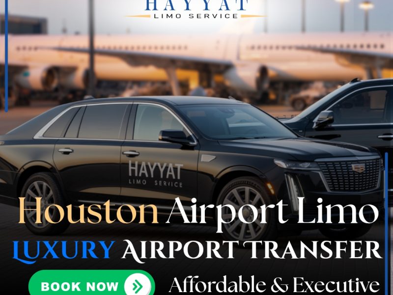Hayyat Limo Service