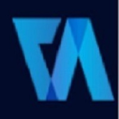 Virtual Auditor Pvt Ltd