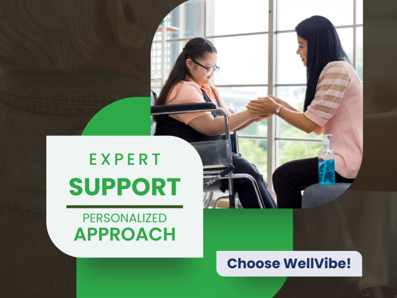 WellVibe NDIS Service Provider