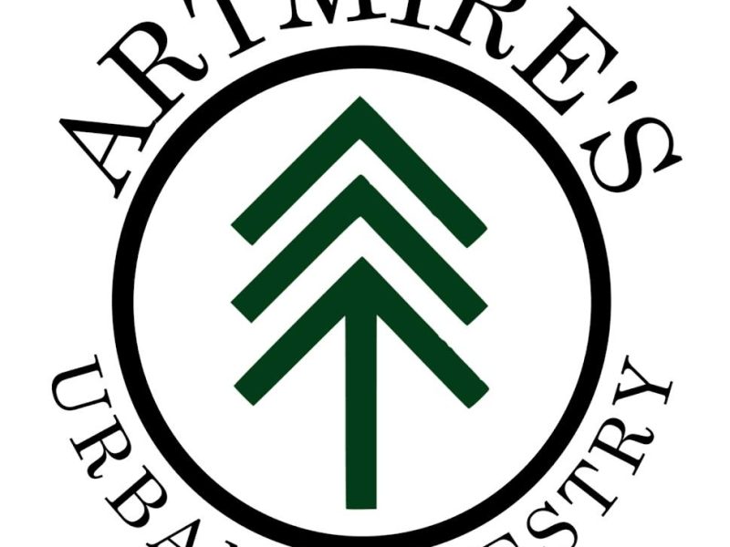 Artmire’s Forestry