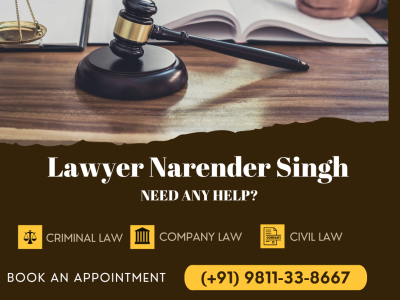 Lawyer Narender Singh - Supreme court of India