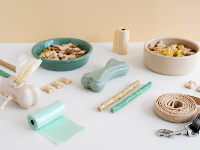 Best Pet Care Products