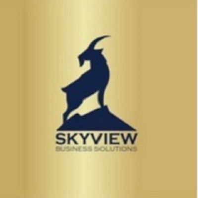 businesssolutionsskyview