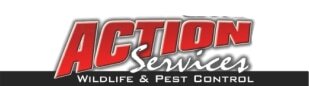 Action Services