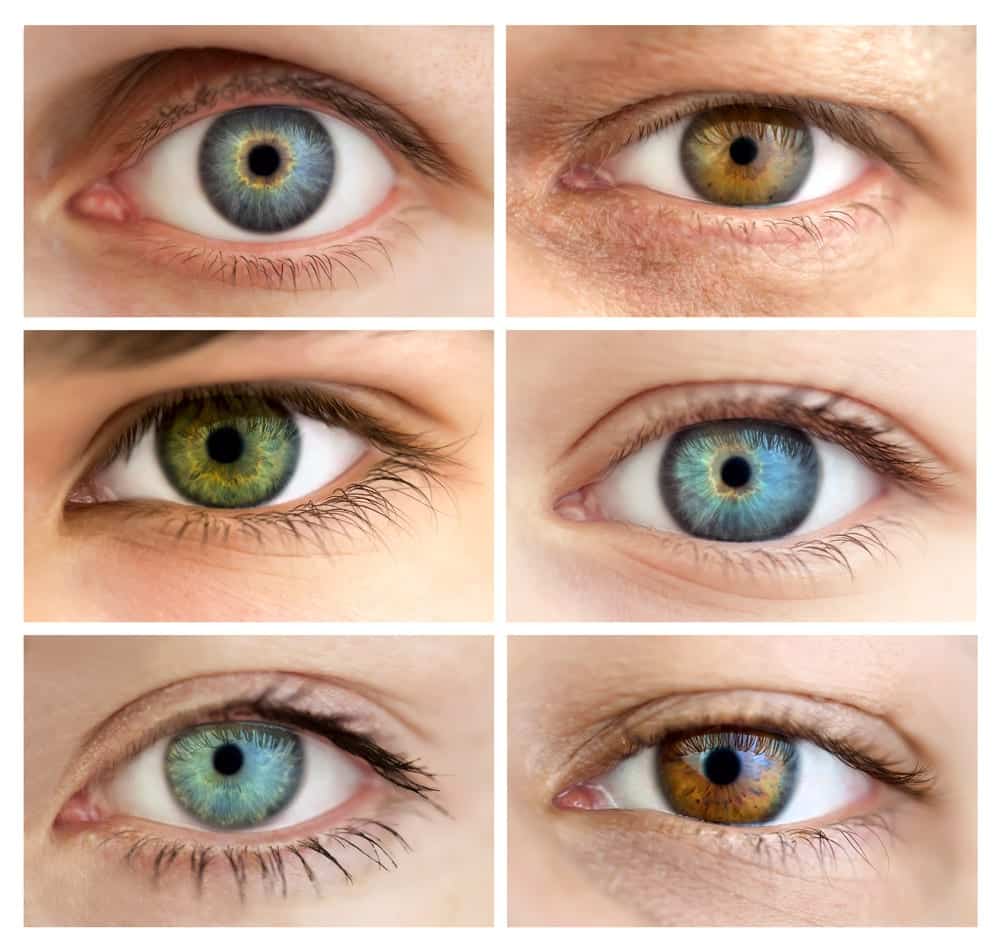 Order Ocuflox online eye drops