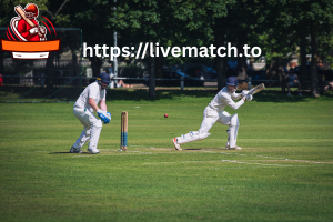 LiveMatch Interactive Features That Connect Cricket Fans Globally