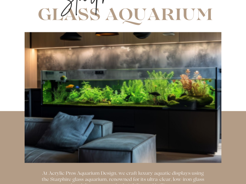 Premium Starphire Glass Aquarium for Crystal-Clear Views | Acrylic Pros Aquarium Design.