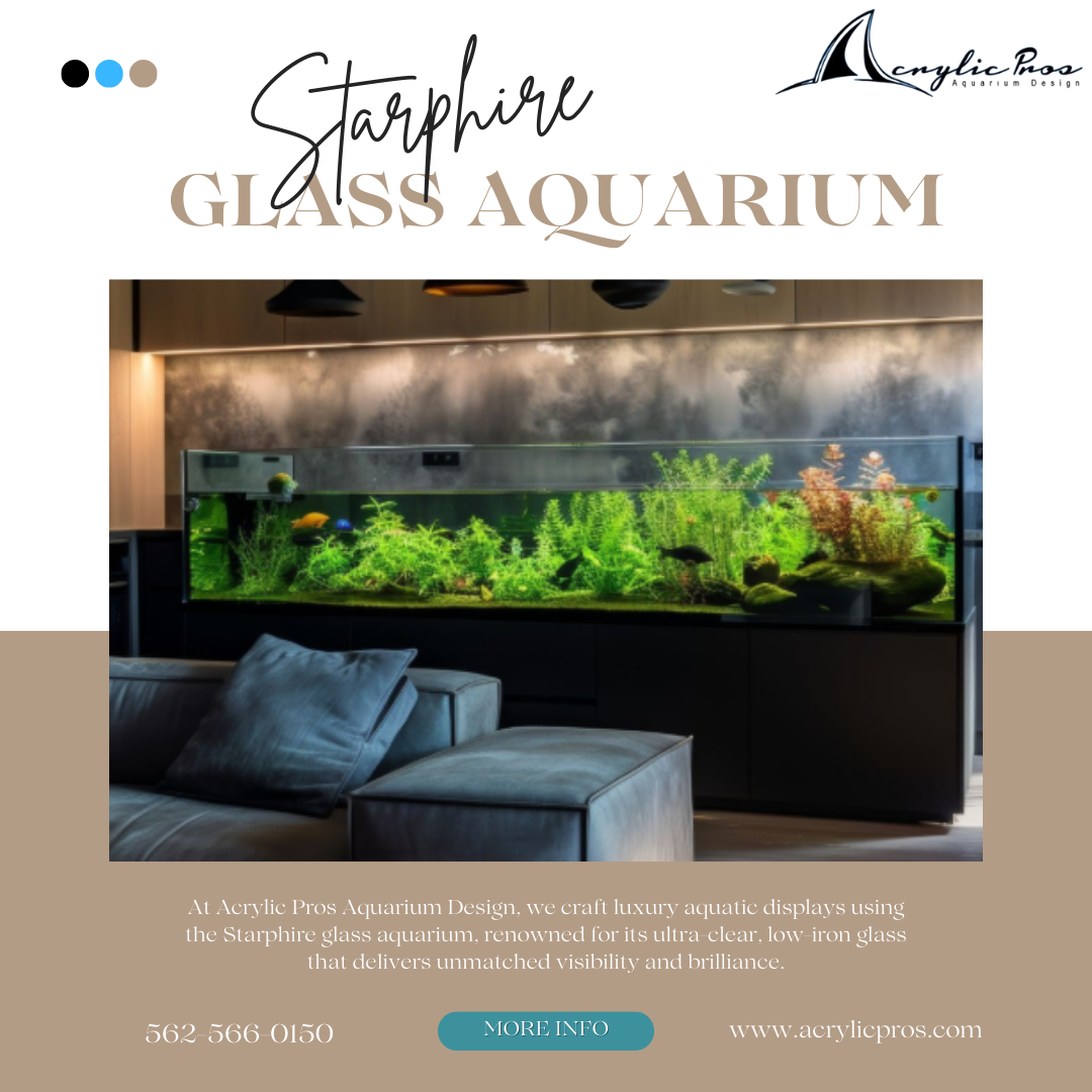 Premium Starphire Glass Aquarium for Crystal-Clear Views | Acrylic Pros Aquarium Design.