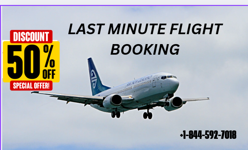 Full List of Expedia Customer Live Agent USA : A Ultimate step by step Guide