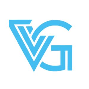 The Values Group LLC