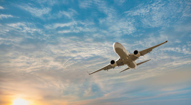 Complete List of™️ Iceland Air® Support™️ Contact Numbers in the USA®®️ – An Extended Official Guide