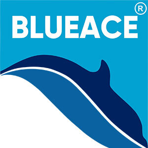 Cold Storage Contractors in Delhi – Blueace India Limited